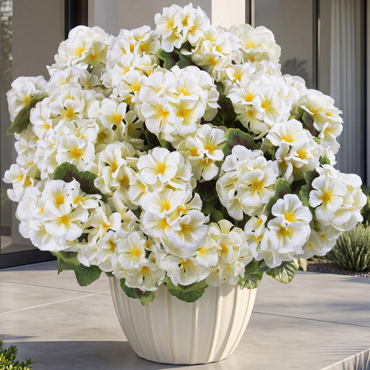 Lovemoon outdoor geraniums 8-pack white, ideal for welcoming front-door display