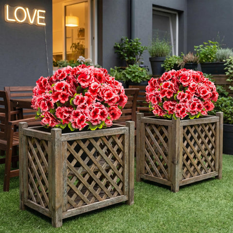 Lovemoon silk geranium with colorfix durability