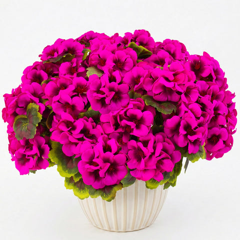 Lovemoon vertical wall greening with geraniums for lush spaces.