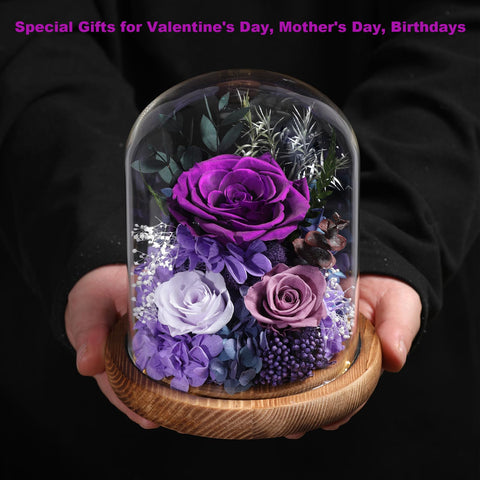 Care and display tips for the Lovenfold dome