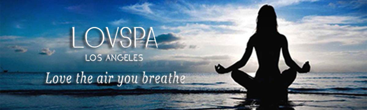 LOVSPA diffuser ingredients highlight clean design and lasting scent