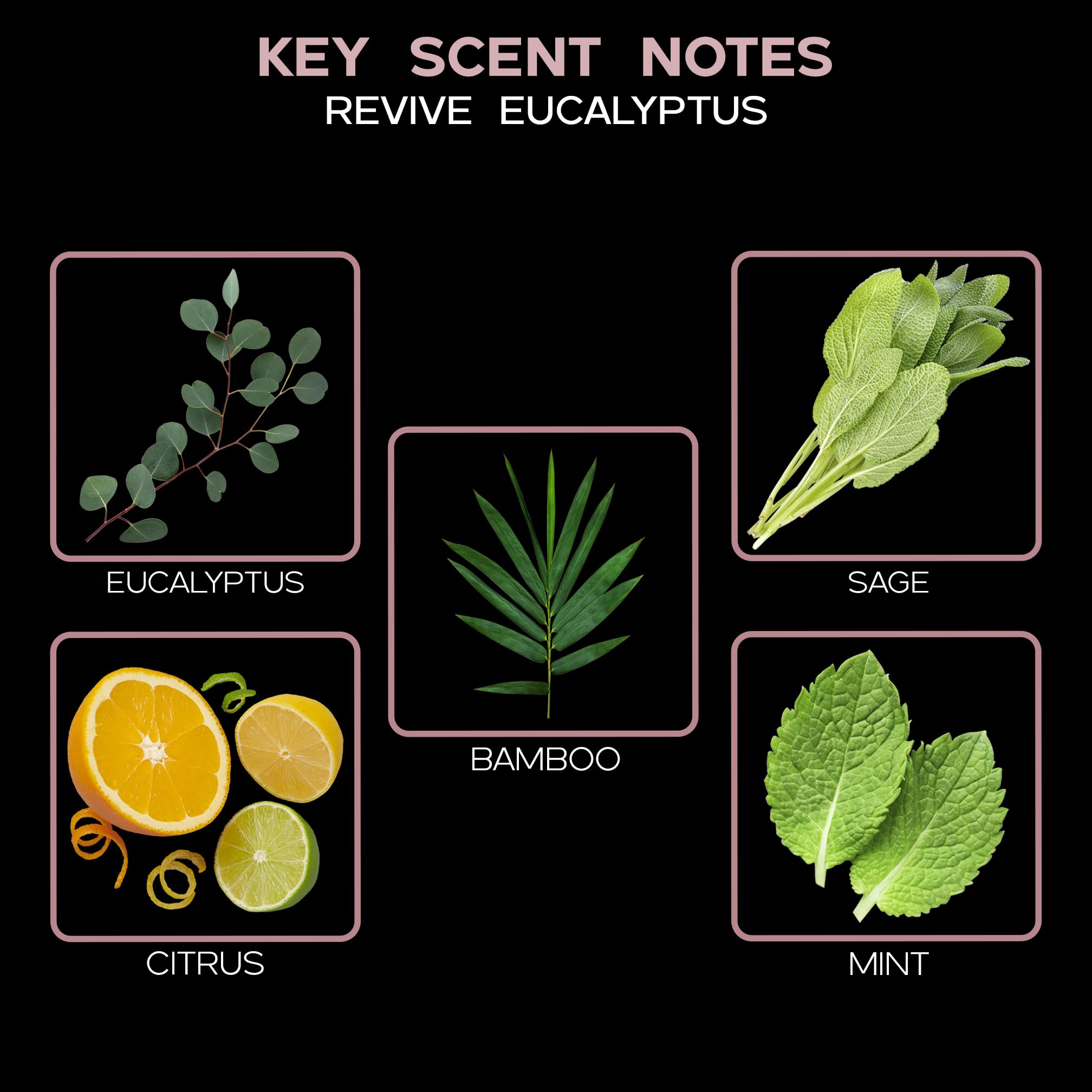 LOVSPA reed sticks set releasing steady aroma in living spaces