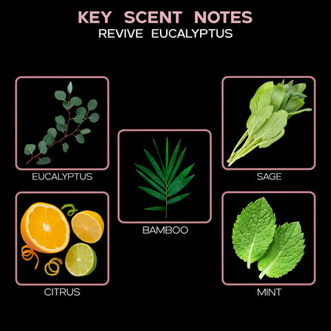 LOVSPA reed sticks set releasing steady aroma in living spaces
