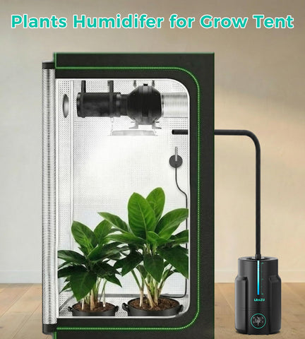 LRAZU 24h timer control for scheduled humidity cycles.