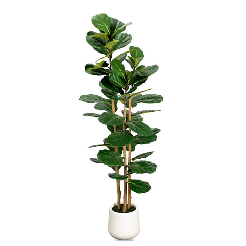 LuceAlberi 5ft artificial fiddle-leaf fig tree with a lifelike three-trunk silhouette for homes and offices.