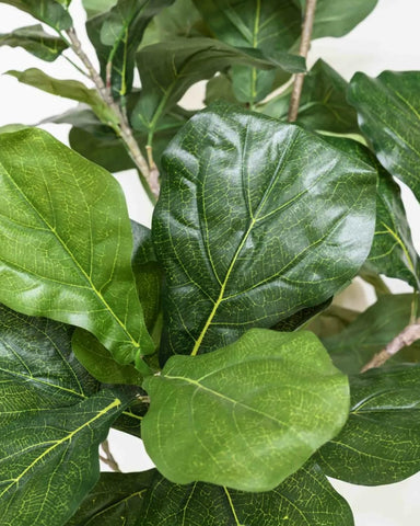 LuceAlberi height display shows 70 inches tall presence without real tree maintenance.