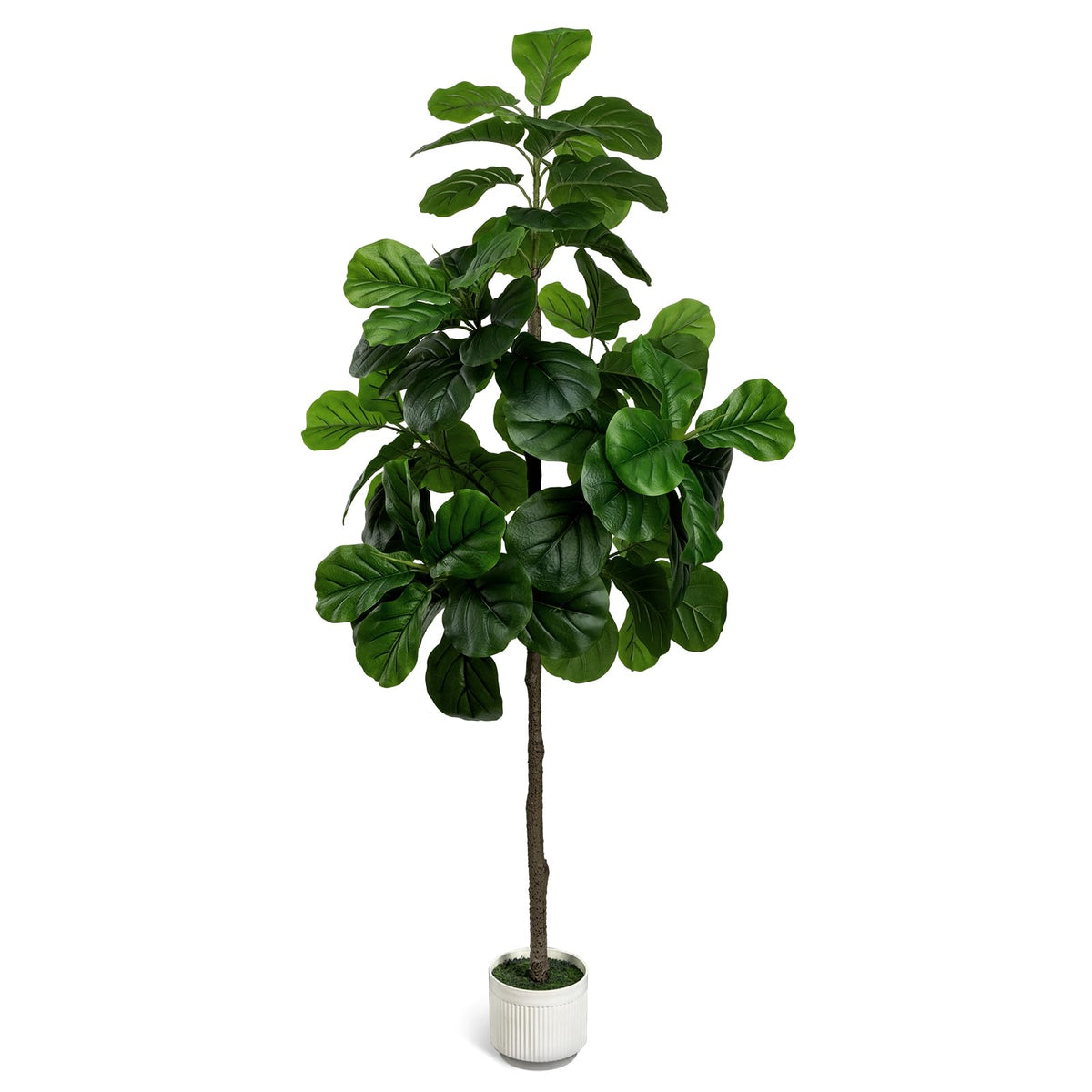 LuceAlberi artificial fiddle leaf fig tree 6ft in white planter adds bold focal point to any room.