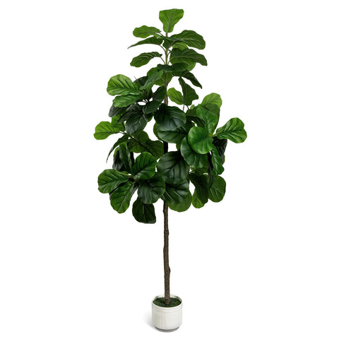LuceAlberi artificial fiddle leaf fig tree 6ft in white planter adds bold focal point to any room.