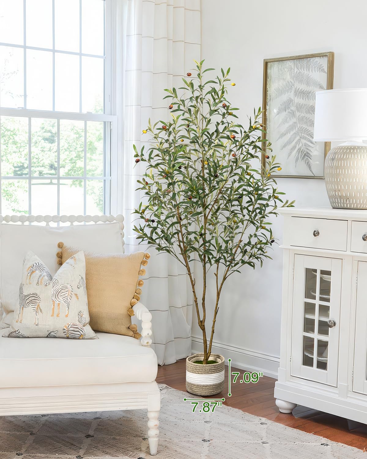 LuceAlberi 6ft olive tree in pre-potted base offers stable setup.
