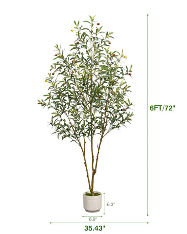 LuceAlberi olive tree with woven cotton basket creates stylish ready-to-display centerpiece.