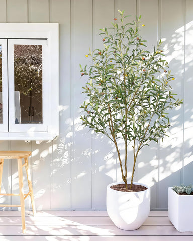 LuceAlberi easy-dust olive tree leaves stay vibrant with simple wipe-down maintenance.