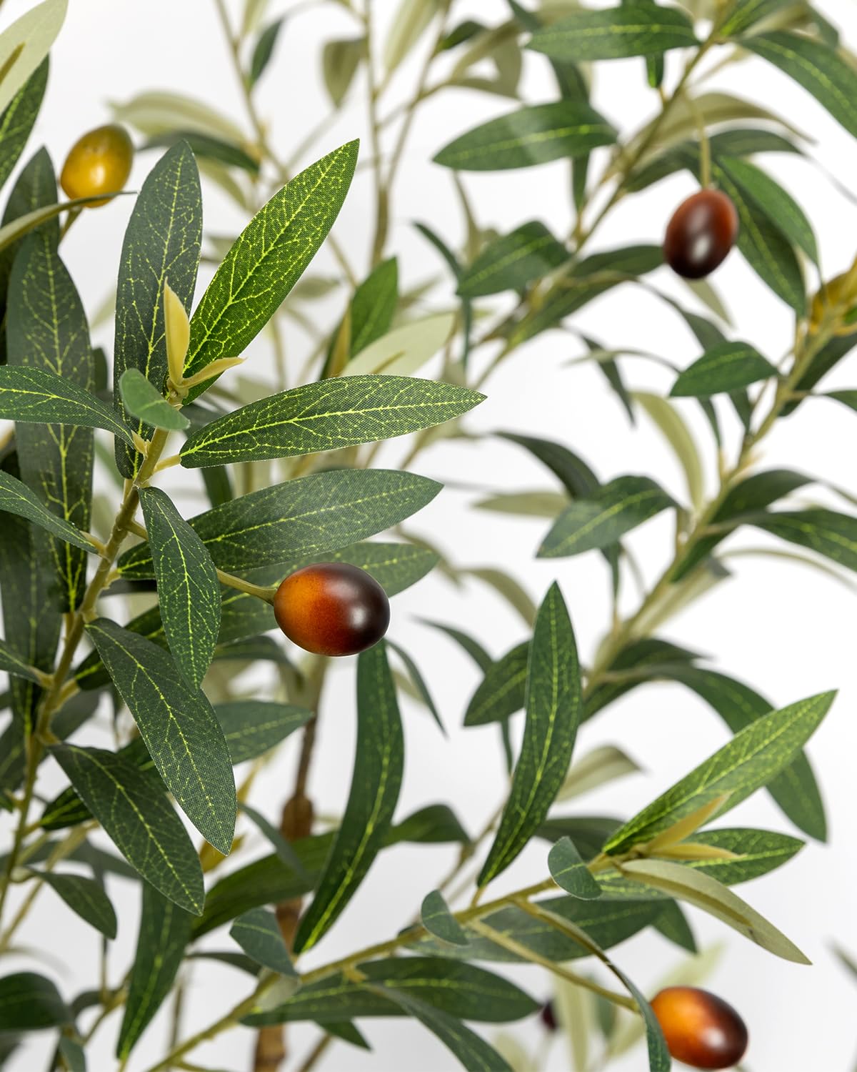 LuceAlberi versatile indoor olive tree fits living rooms, bedrooms, offices, and entryways.
