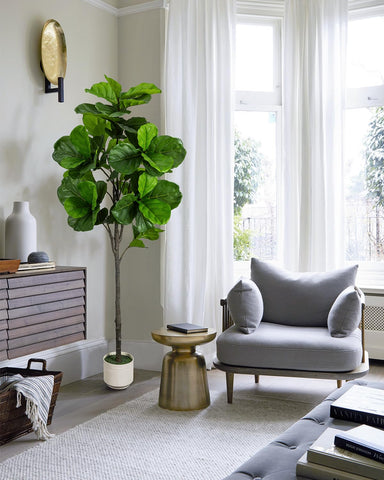 LuceAlberi mediterranean vibe decor enhances living spaces with evergreen elegance.