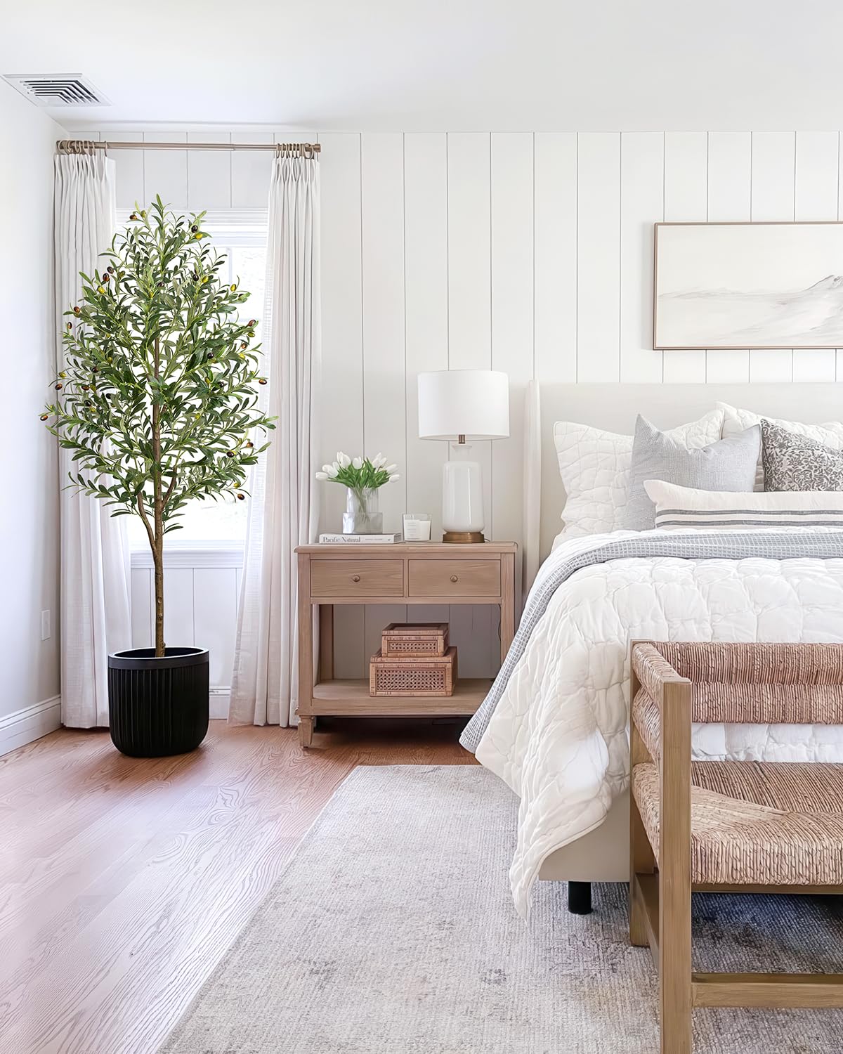No-sun maintenance LuceAlberi olive tree for low-light spaces.