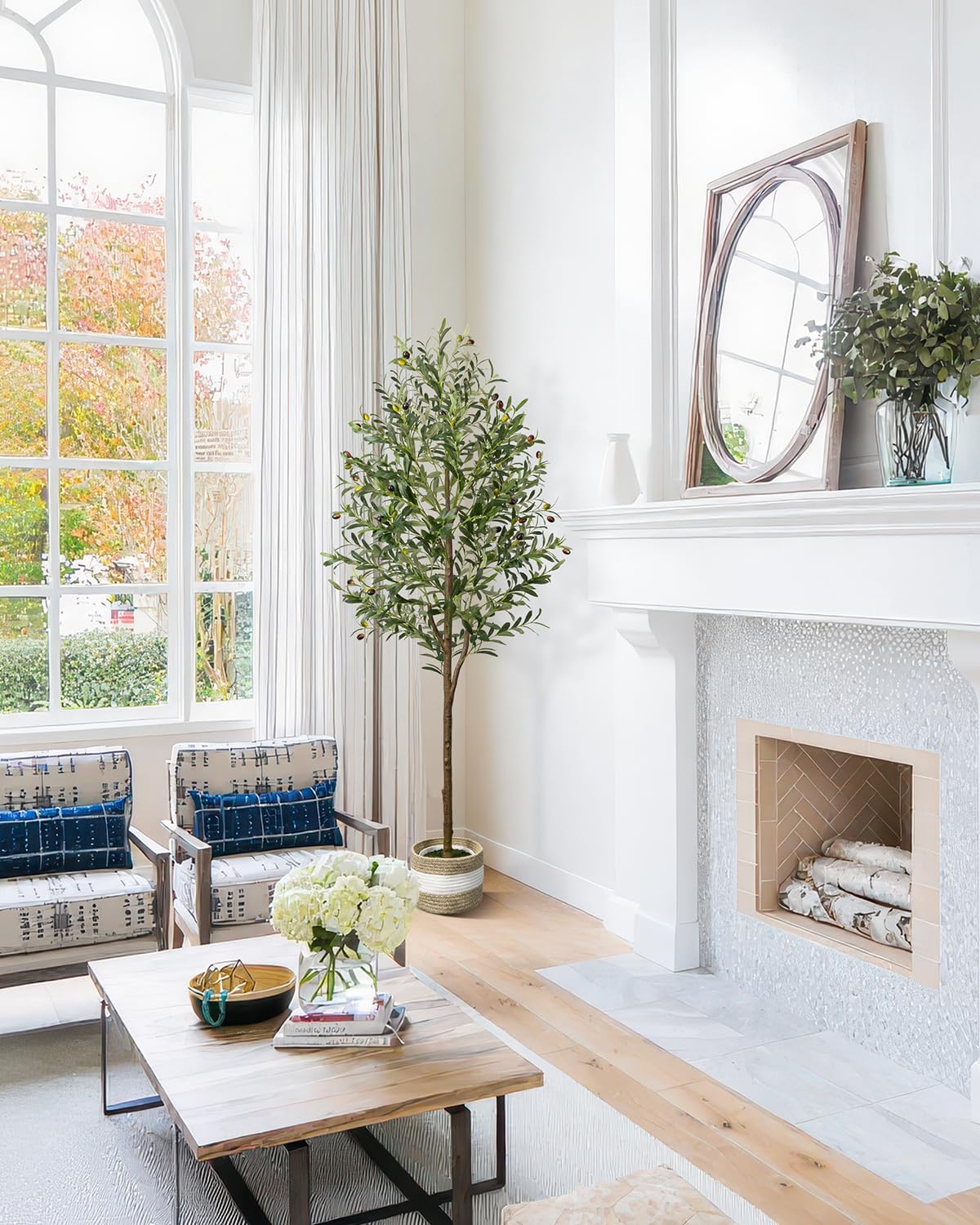 Tall LuceAlberi olive tree serving as a statement centerpiece.