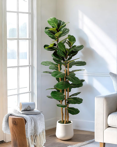 LuceAlberi three-trunk structure creates a lush, spacious canopy for any room.