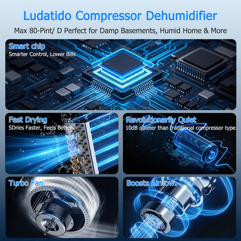 Ludatido dehumidifier with drain hose setup for continuous drainage