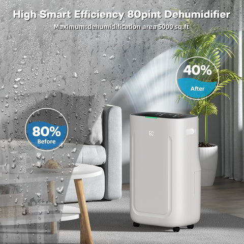 Ludatido dehumidifier water tank showing 6.5L capacity for long drainage