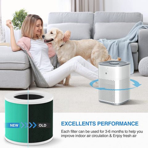 LUFFYLIVE HY1800 in-use in living room captures ambiance of fresh air
