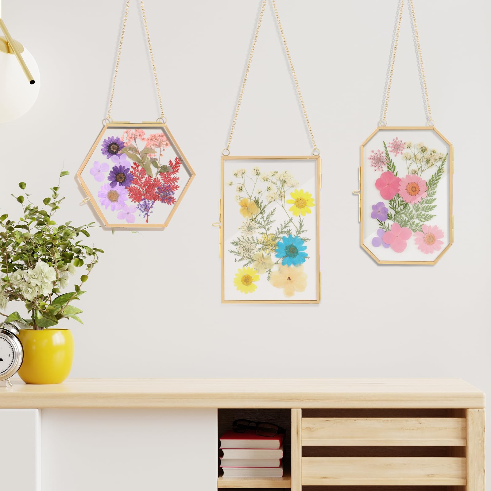 Lujechii back-to-back display frame for photos and florals.