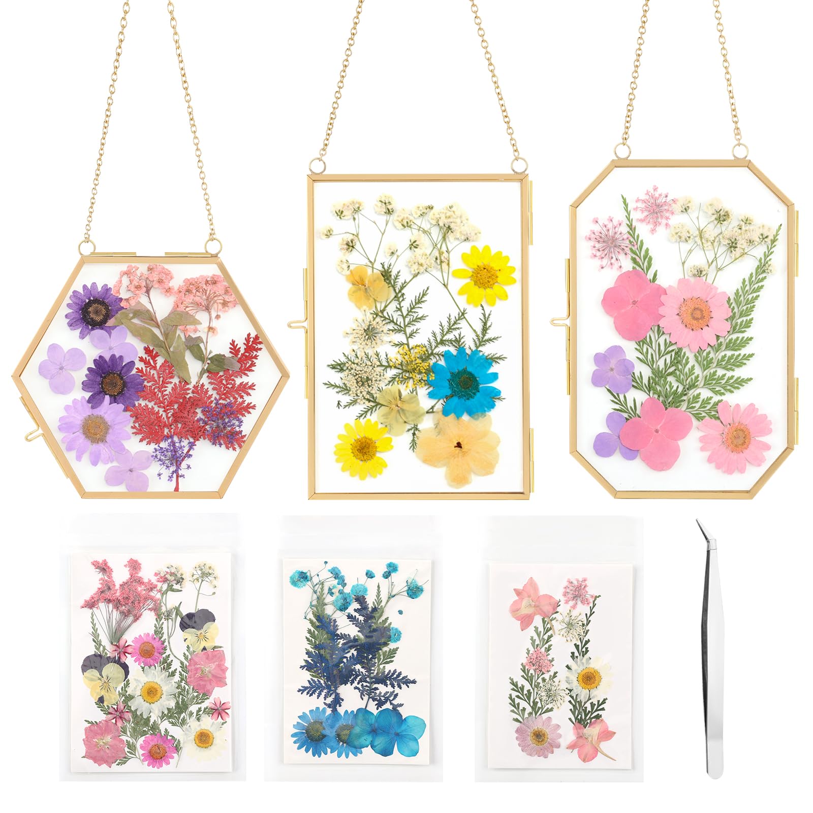 Lujechii rectangular double-glass frame with dried flowers for wall display.