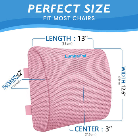 LumbarPal ergonomic back support on office chair with curved design