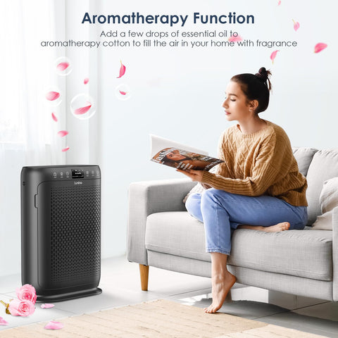 LUNINO large-room purifier reduces dust and pet hair in homes.