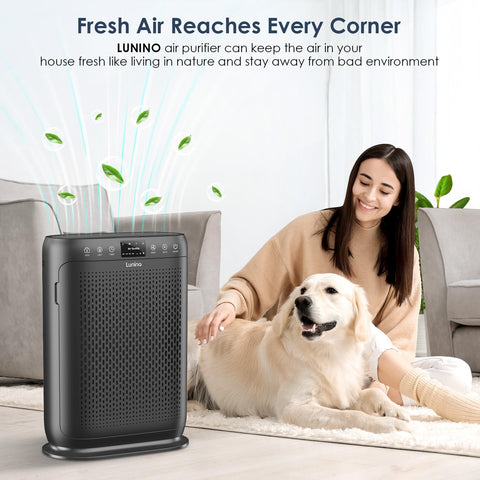 LUNINO H13 HEPA filter in action filters fine particles for healthier air.