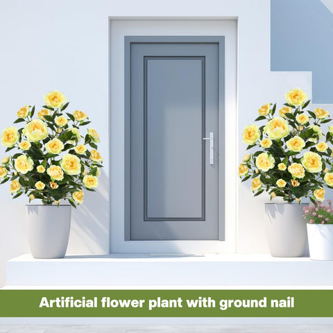 Lunmon camellia tree indoor decor setting with lush yellow bloom