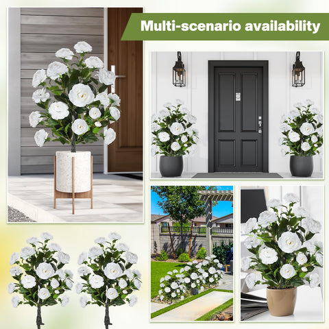Lunmon UV-resistant camellia trees suited for outdoor use