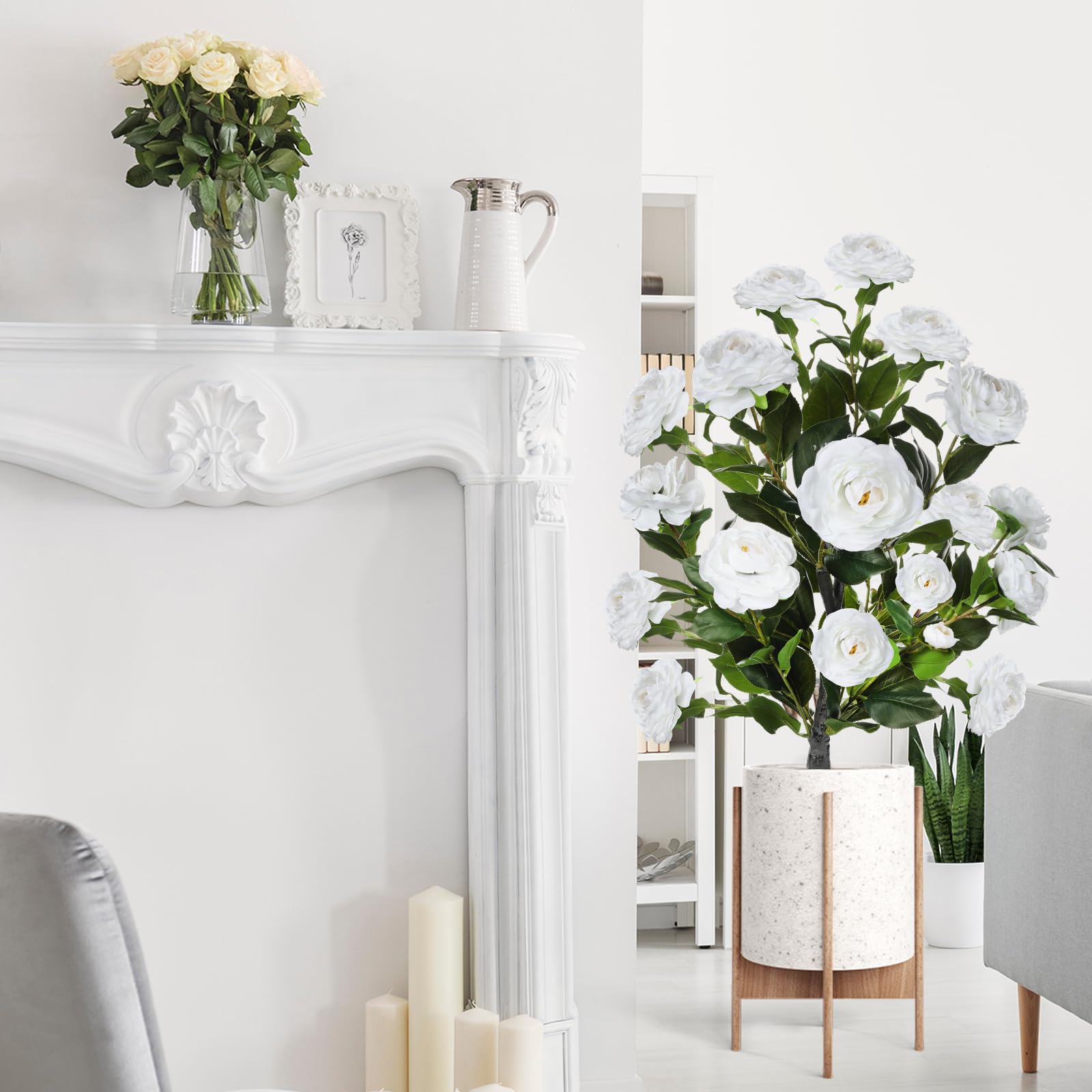 Lunmon camellia trees framing a front porch or garden display