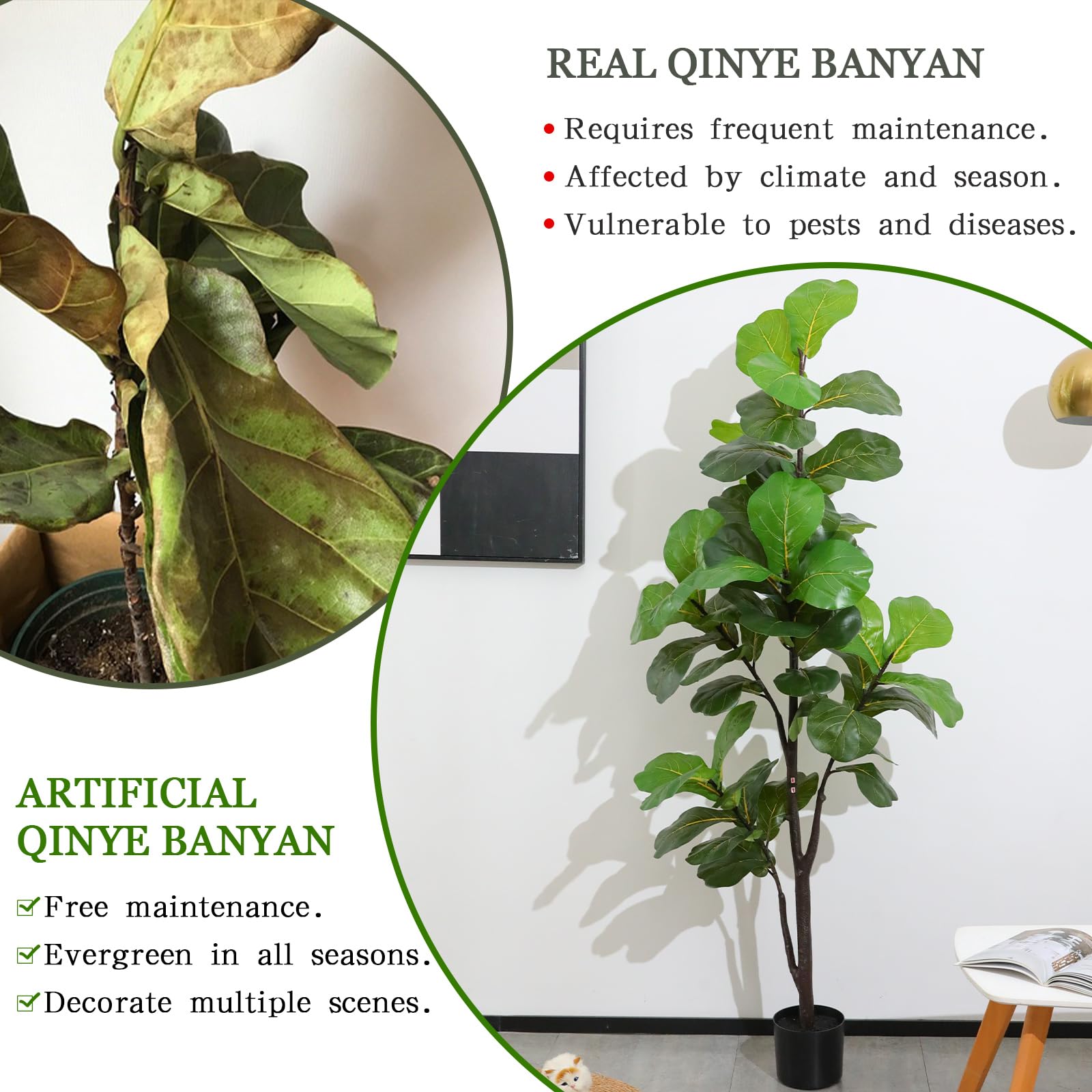 LUWENER easy-care plant that stays evergreen year round