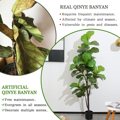 LUWENER easy-care plant that stays evergreen year round