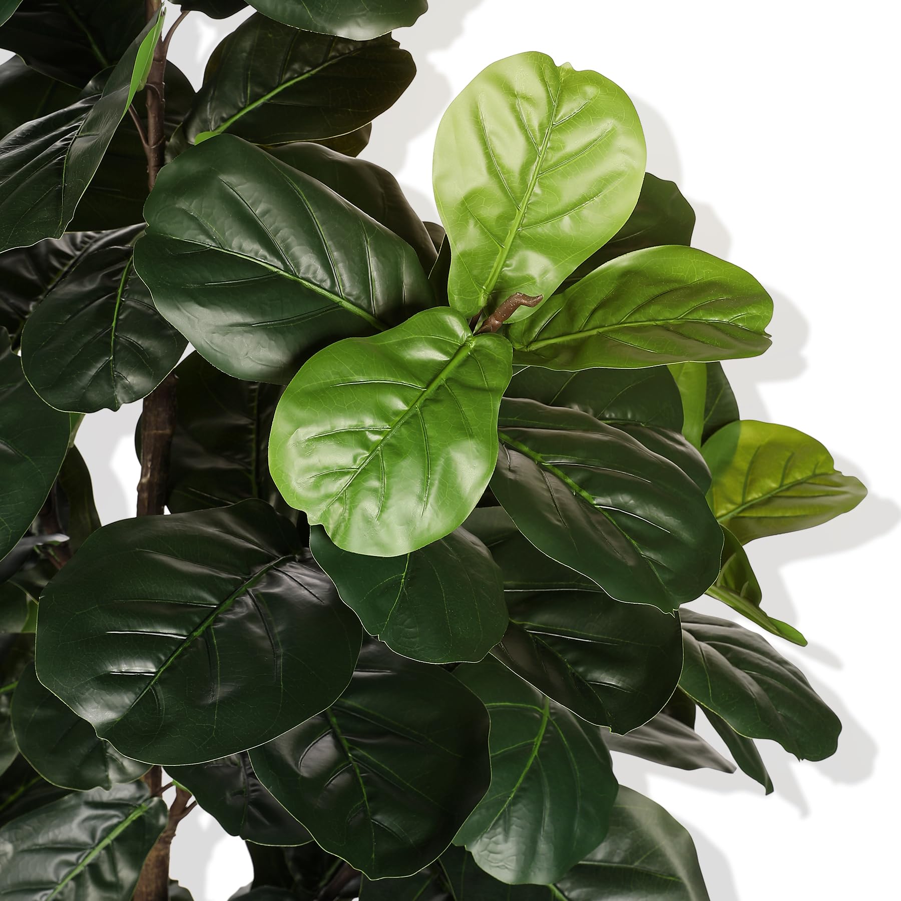 LYERSE 6ft fiddle leaf fig brightens living room and bedroom spaces.
