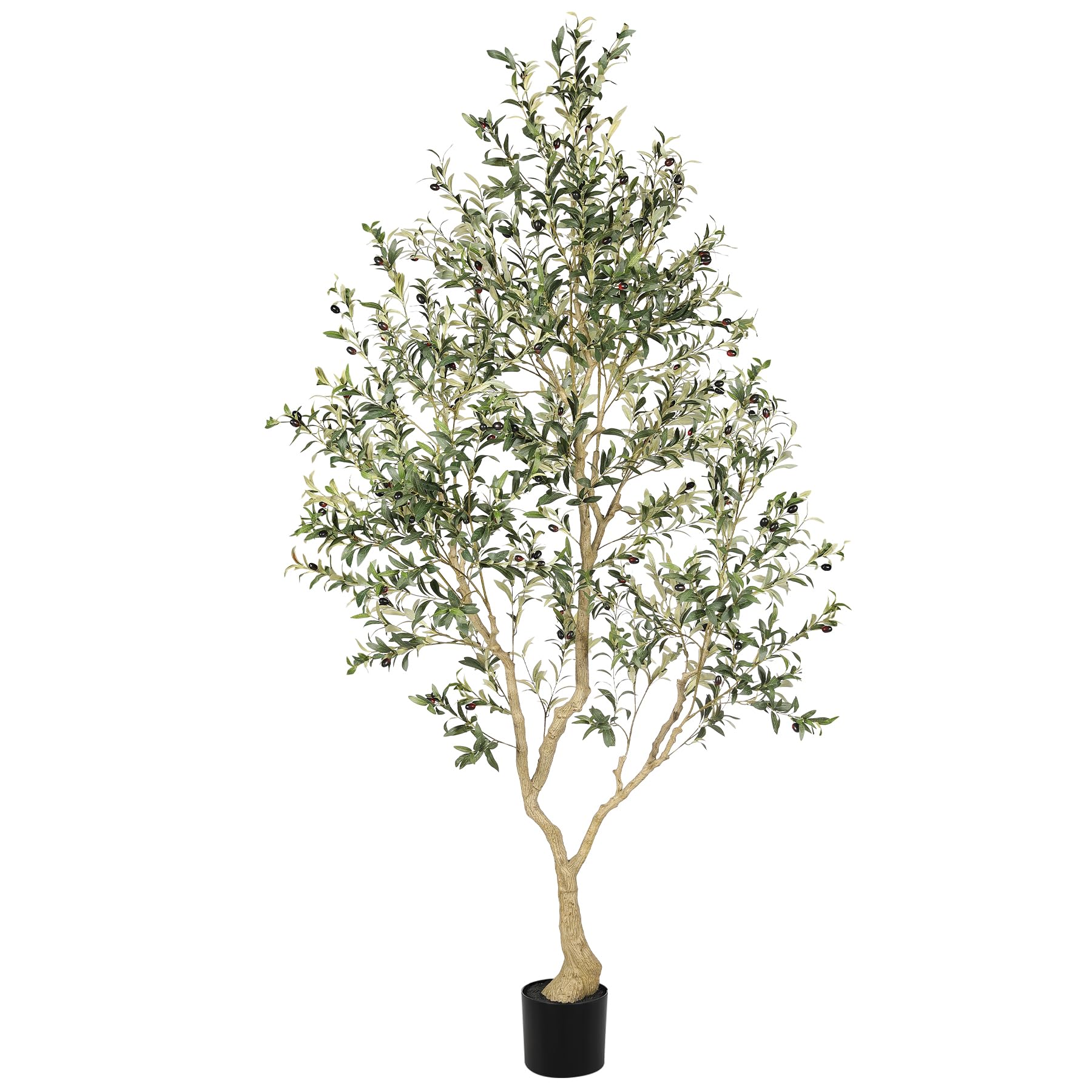 LYERSE 8ft olive tree with full olive branches enhances indoor decor