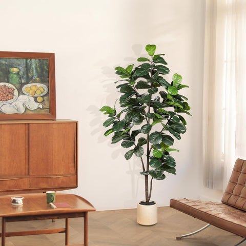Adjustable branches let you shape the LYERSE fig tree for corners.