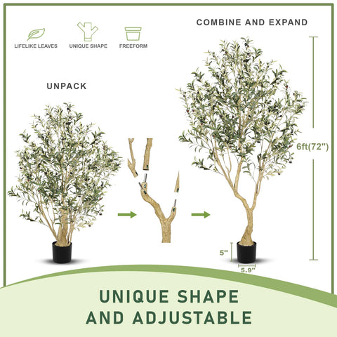 LYERSE Olive Tree 6ft full plant highlights dense foliage for office decor.