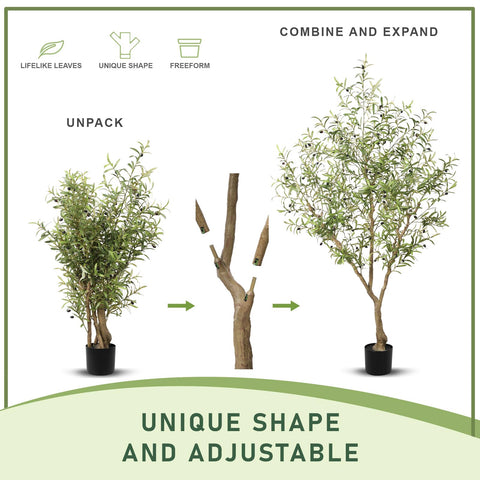 LYERSE olive tree 7ft dark purple olives add color and Mediterranean vibe.