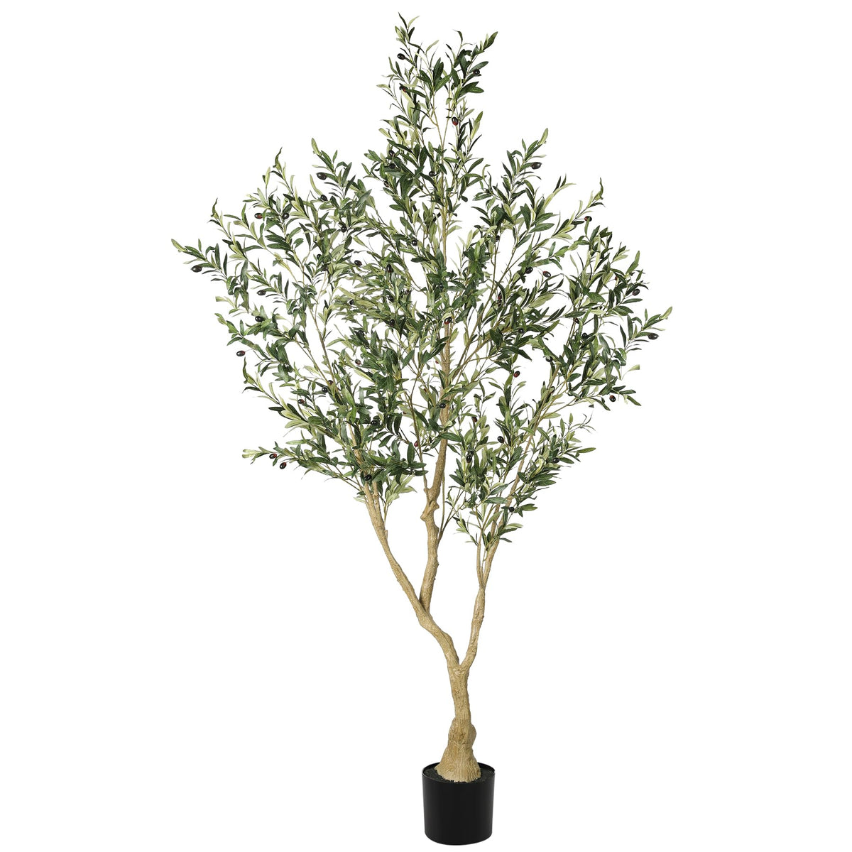 LYERSE Olive Tree 7ft indoors for a natural living room accent