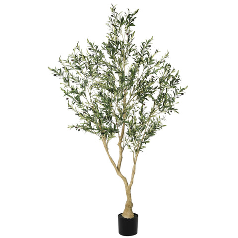 LYERSE Olive Tree 7ft indoors for a natural living room accent