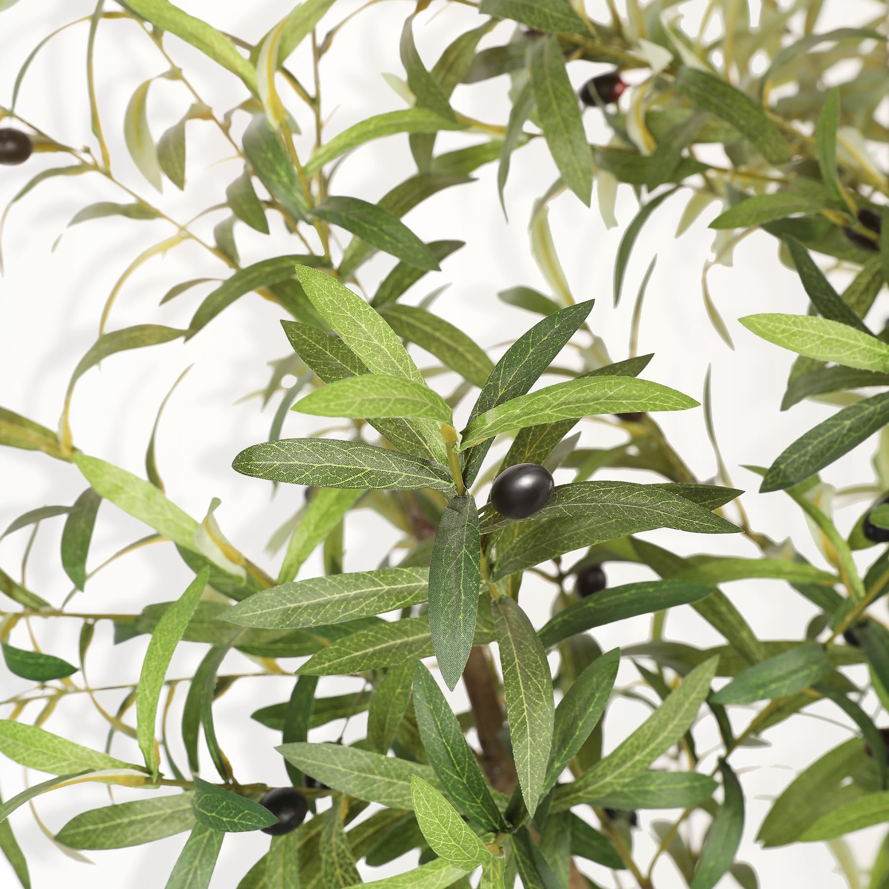 LYERSE olive tree 7ft large olive branches create a lush, natural focal point.
