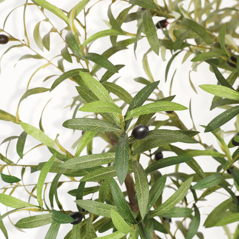 LYERSE olive tree 7ft large olive branches create a lush, natural focal point.