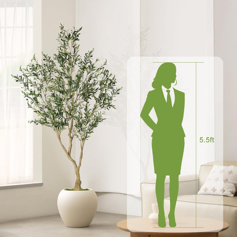 LYERSE Olive Tree black pot provides a sturdy base and clean finish