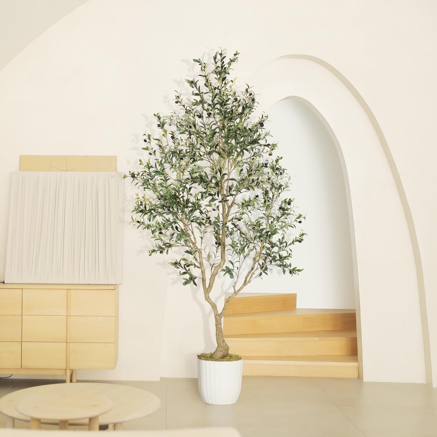 LYERSE olive tree suits home office and living spaces