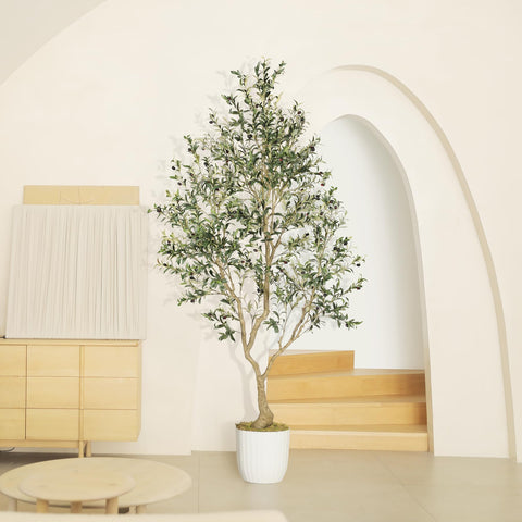 LYERSE olive tree suits home office and living spaces
