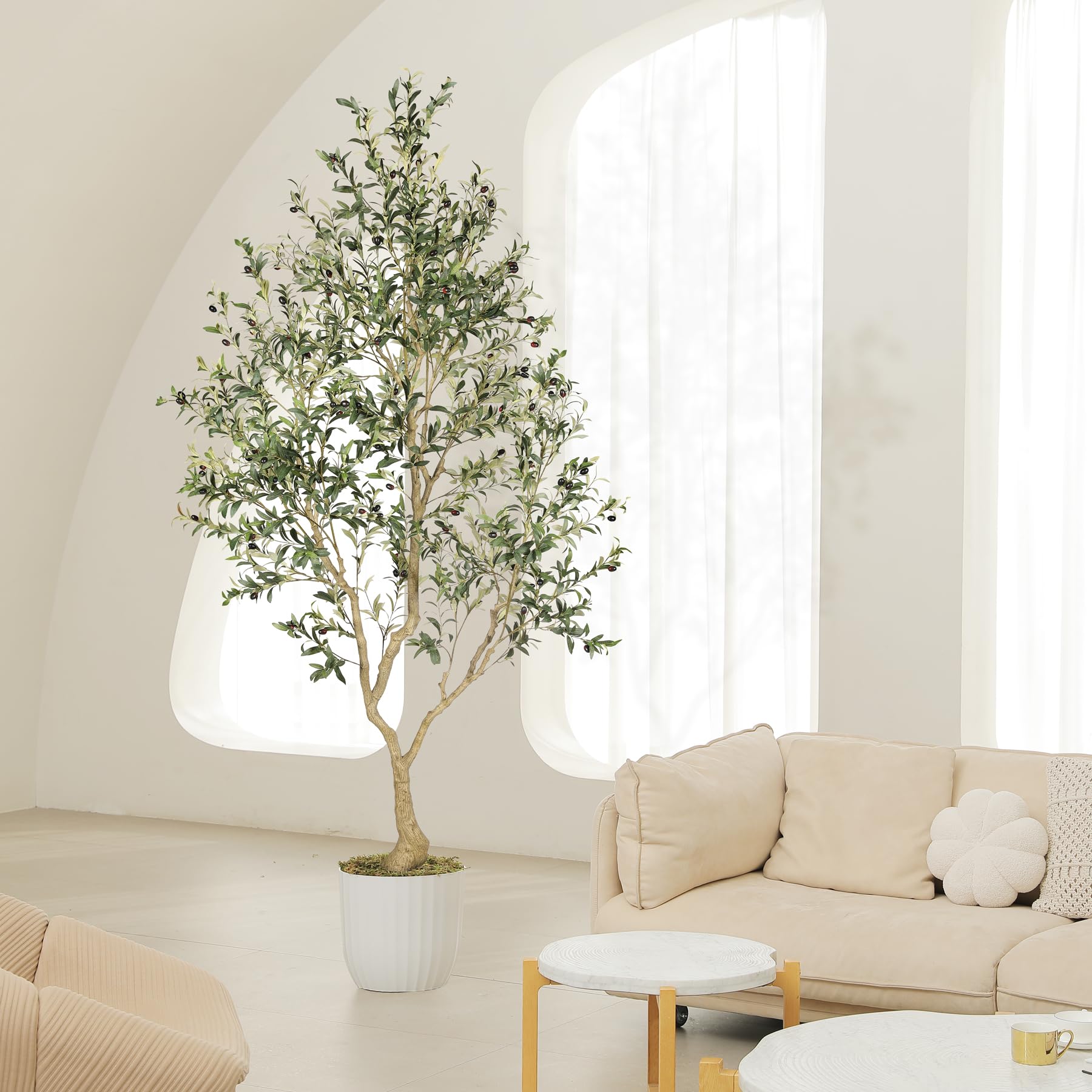 LYERSE olive tree ideal for stylish interior decor display