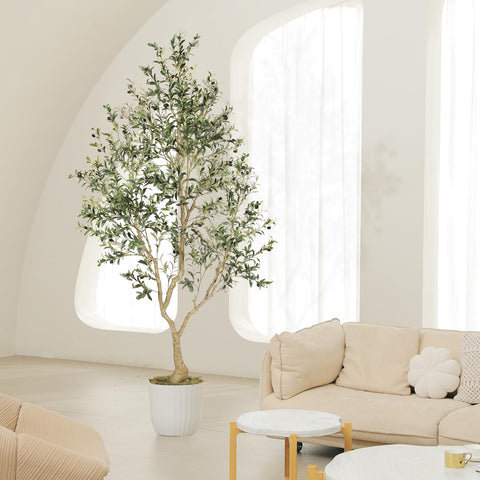 LYERSE olive tree ideal for stylish interior decor display