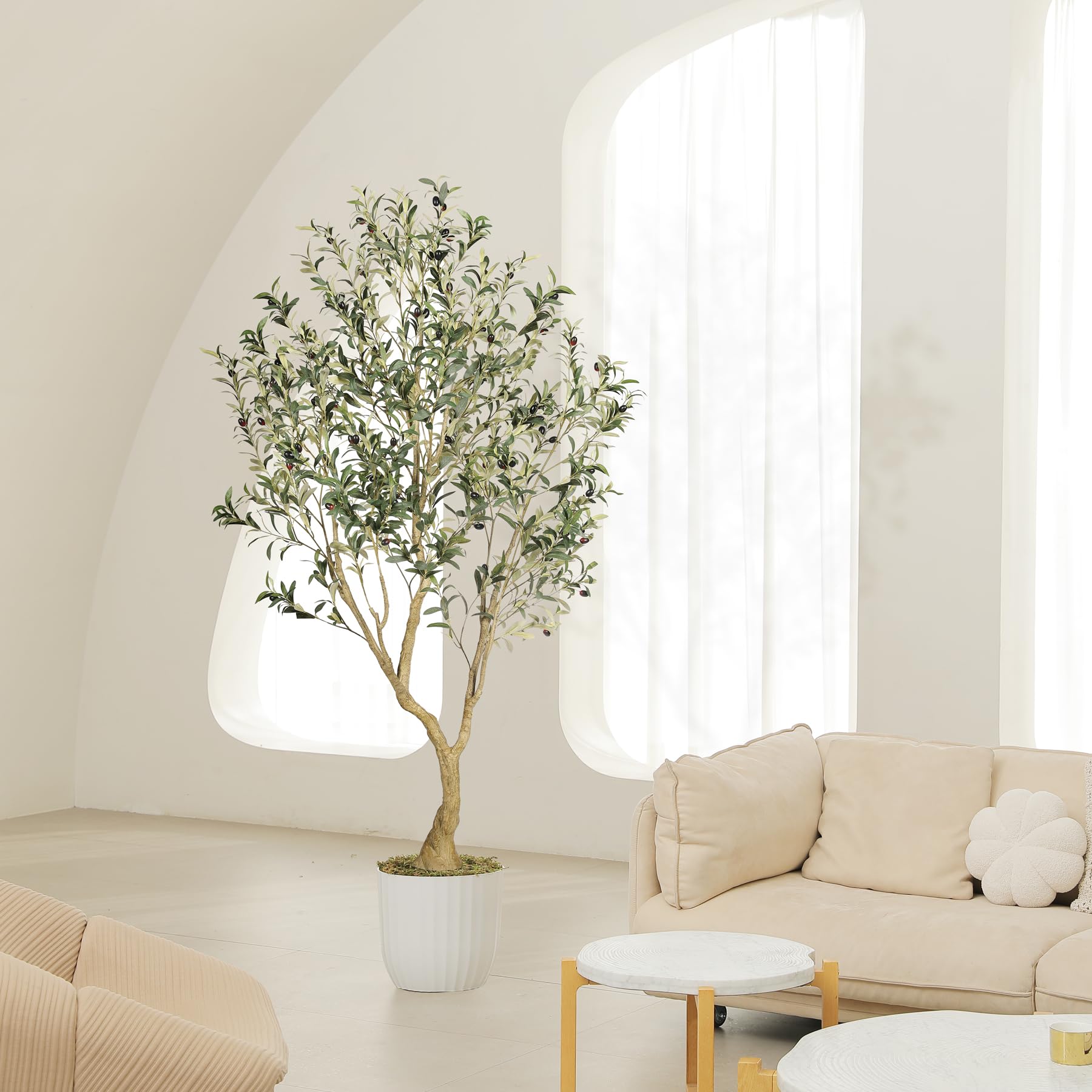 LYERSE Olive Tree living room display enhances natural ambiance.