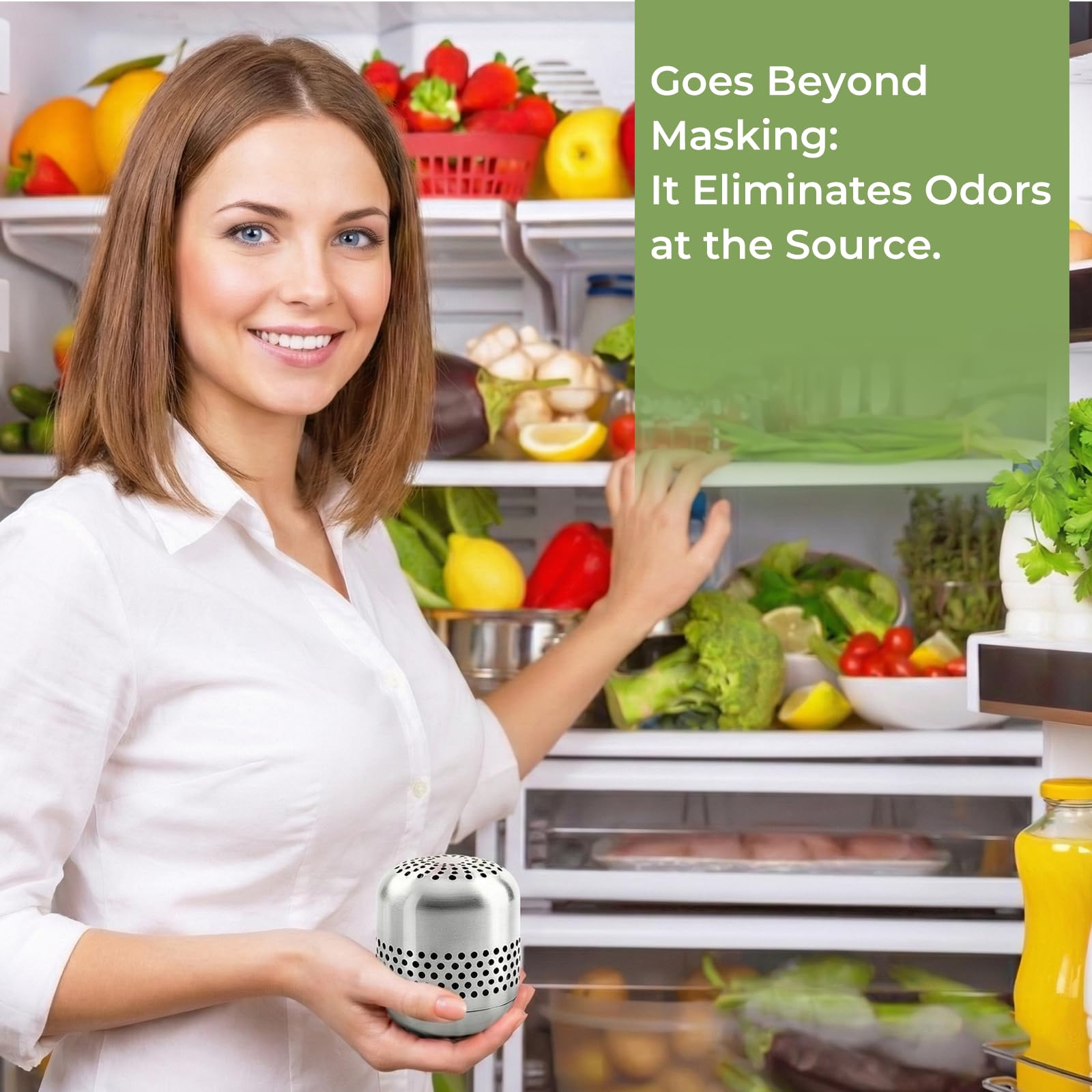 Lyserin refrigerator deodorizer 10-year lifespan emblem, long-term use.