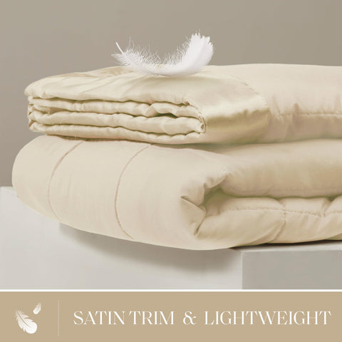 Madison Park Windom close-up shows brushed microfiber texture for cozy softness.